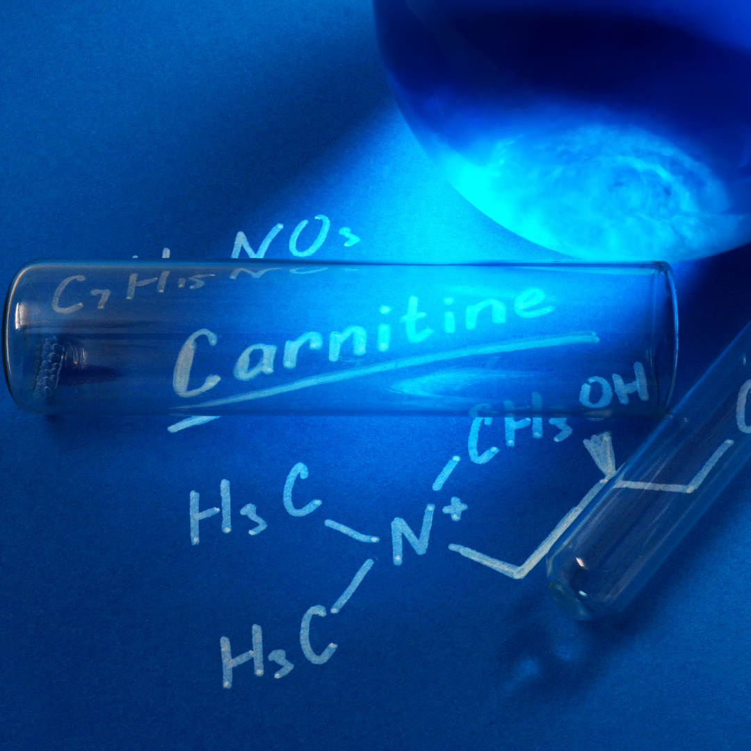 ¿Para que te sirve tomar un suplemento con L-Carnitina?